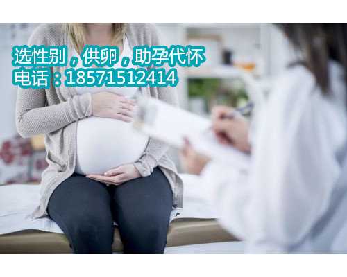 北京助孕价格，开启你的人生新篇章！