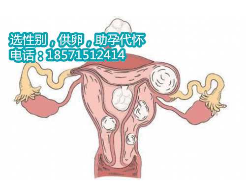 北京供卵助孕中心的客户评价怎样