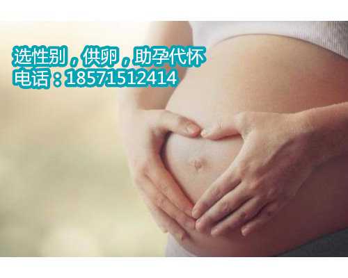北京试管助孕公司具体操作过程