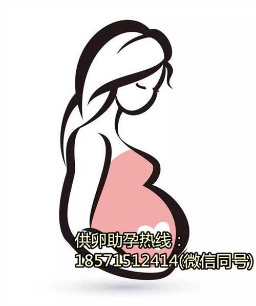 北京助孕价格,让生命的希望永不熄灭